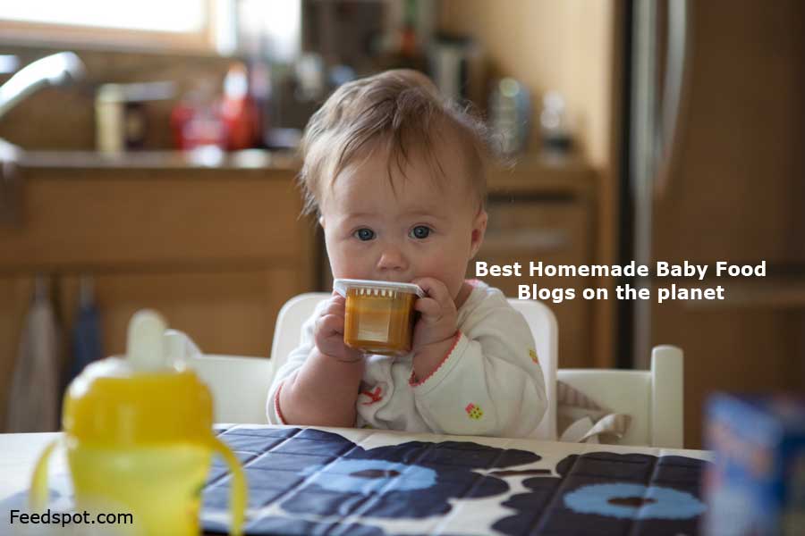 30 Best Baby Food Blogs to Follow in 2026