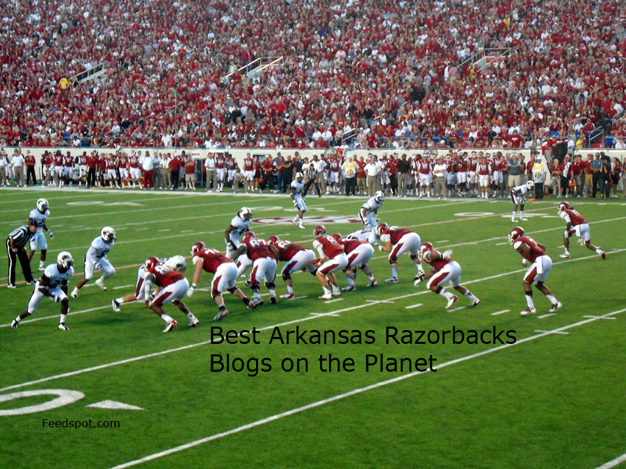 Rolling Razorbacks 15 Best Arkansas Razorbacks Blogs to Follow in 2026