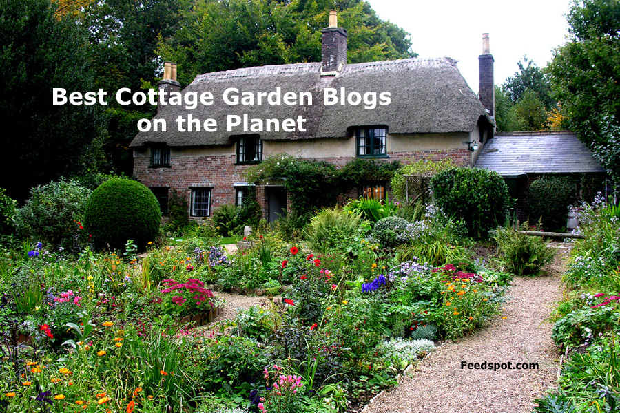 15 Best Cottage Garden Blogs and Websites in 2025
