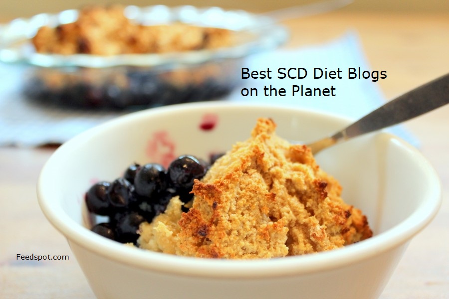 15 Best SCD Diet Blogs to Follow in 2026