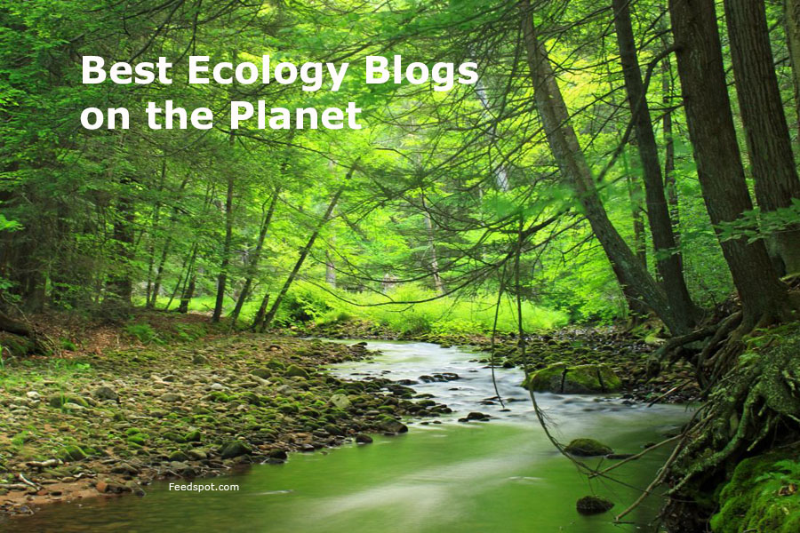 Url Blog For Environmental 30 Best Ecology Blogs to Follow in 2026