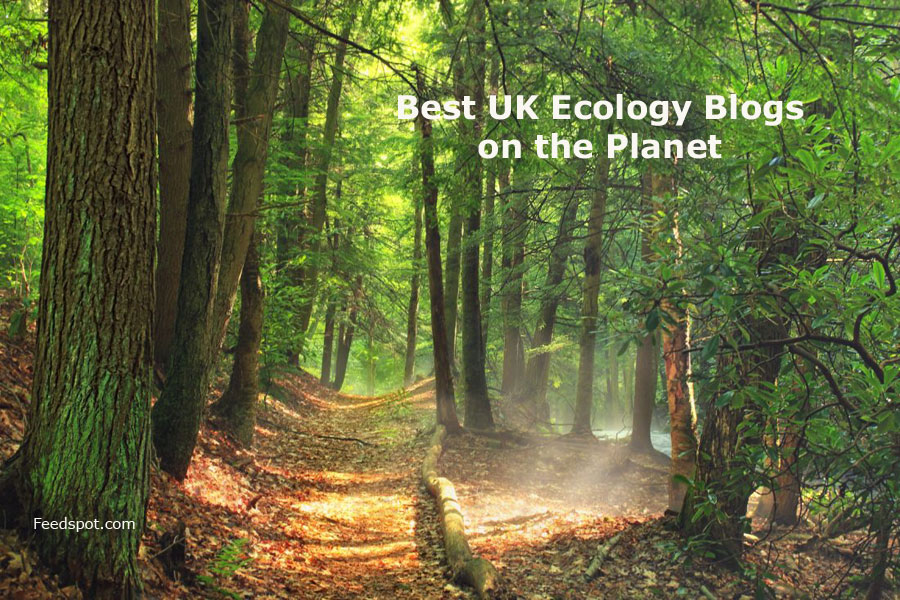 Url Blog For Environmental 5 Best UK Ecology Blogs to Follow in 2026