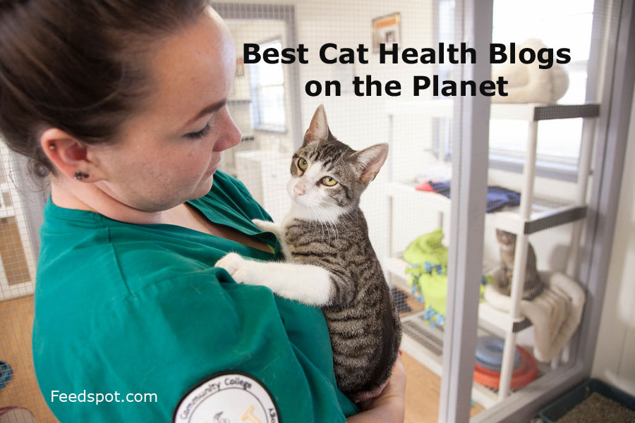 20 Best Cat Health Blogs to Follow in 2026