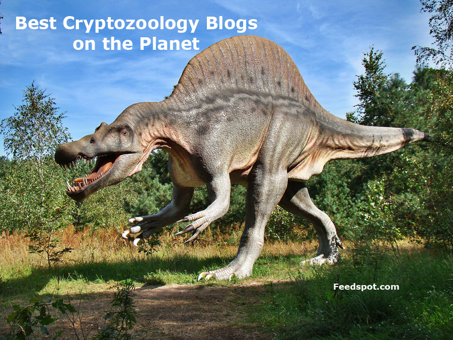 Cryptozoolog 10 Best Cryptozoology Blogs to Follow in 2026